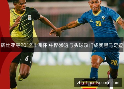 赞比亚夺2012非洲杯 中路渗透与头球攻门成就黑马奇迹